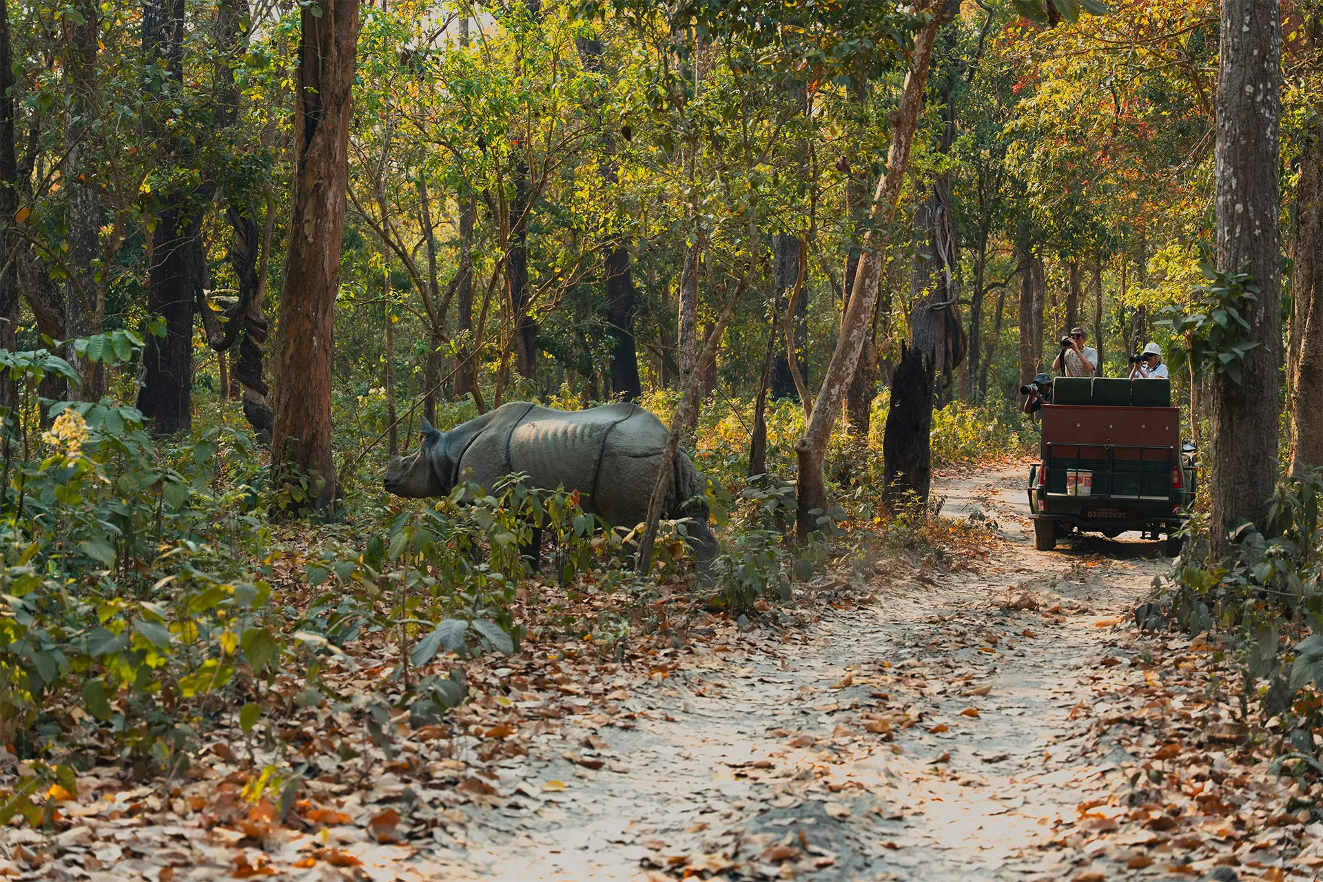 Exploring Chitwan Wildlife